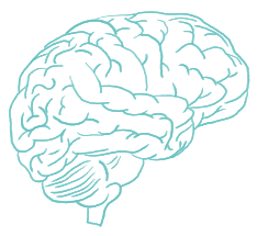 Ícone Avaliação Cognitiva - Cérebro representando funções mentais